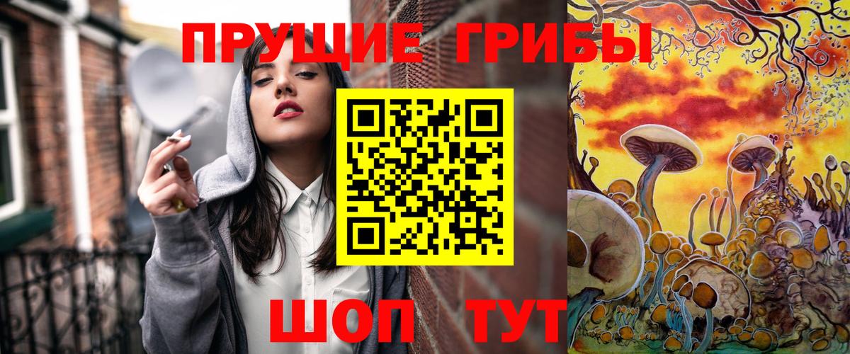 Сунжа  Псилоцибиновые грибы ЛСД  Галлюциногенные грибы GOLDEN TEACHER  Вход с VPN 