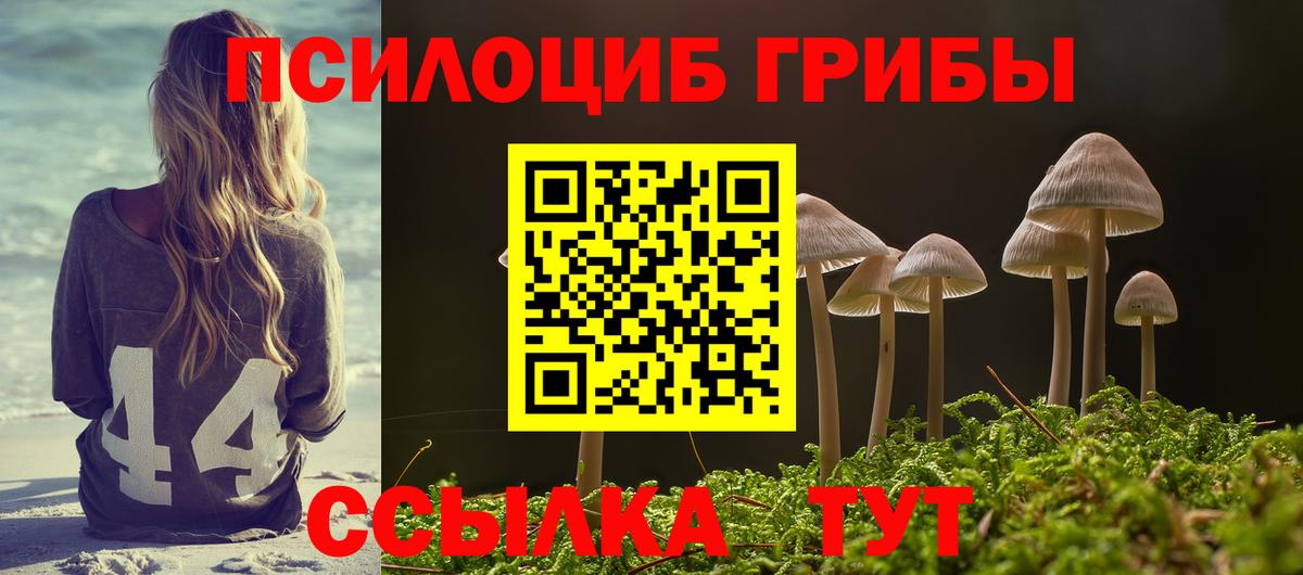 Галлюциногенные грибы MAGIC MUSHROOMS Сунжа